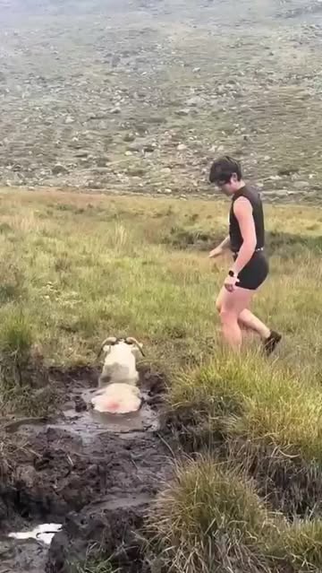 Instagram Reel by @revistacirculorojo, published May 13, 2026. #Viral | Una mujer que realizaba una caminata en una zona rural protagonizó un dramático rescate…