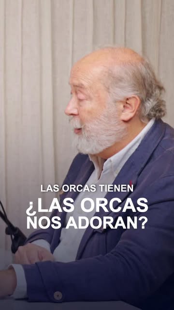Instagram Reel by @aladetres.es, published Jun 2, 2026. ¿Qué sentido tiene la relación ORCAS-HUMANOS? ¿Por qué se comportan así? Con Fernando López-Mirones, en…