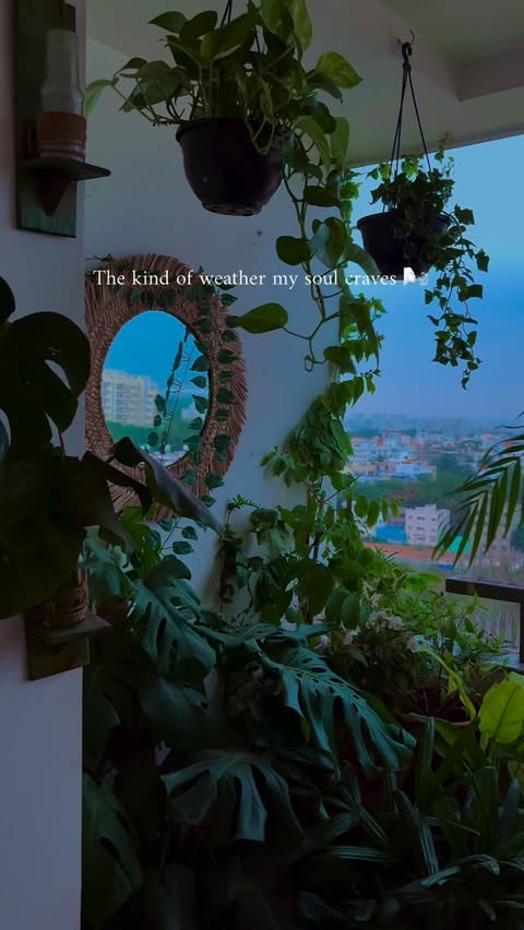 Instagram Reel by @sim0295, published May 27, 2026. The kind of weather my soul craves ??️? . . . . . . . . . . . . . . . . . #BalconyGarden #NammaBengaluru #P…