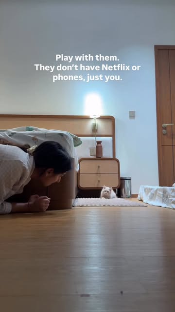 Instagram Reel by @chaynika_sharma, published May 27, 2026. Give them the time and attention they deserve ❤️ . . . #kitten #playtime #wholesome #love #funny .…