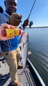 Instagram Reel by @defend_959501, published May 26, 2026. Great outdoor gear fishing bait wild fishing choice #FishingBait #FishingLure #FishingTackle #Angler…