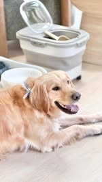 Instagram Reel by @everythingenvy, published Apr 17, 2026. The cutest Amazon haul?? No more random bags and clutter… everything in one spot? Only the best for…