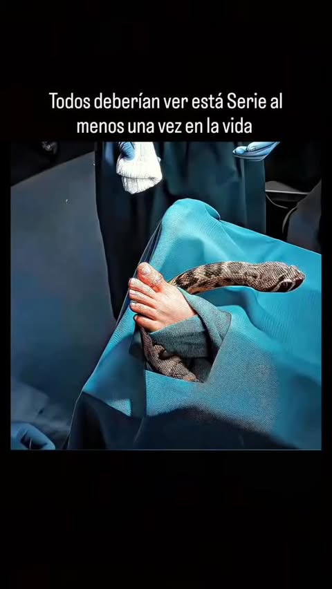 Instagram Reel by @cortosdelcine, published Apr 28, 2026. Para encontrar está Serie ?? The Good Doctor es una serie de drama médico que sigue la vida del joven…