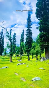 Instagram Reel by @kmr_mubashir, published May 7, 2026. Nature vibes . . . . . . . #trendingreels #explore #trending #reels