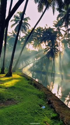 Instagram Reel by @nishad.arakkal, published Apr 27, 2026. POV: You woke up in Kerala ? Nature doing its magic in God’s Own Country ?✨ Peace isn’t a place… it’…