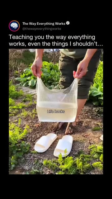 Instagram Reel by @thewayeverythingworks, published Apr 21, 2026. Knowing life hacks is useful because they simplify everyday tasks, saving you time, effort, a…