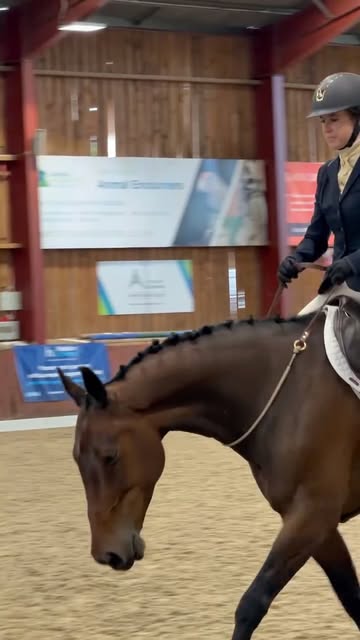 Instagram Reel by @britishbridlelesscompetition, published May 31, 2026. And just like that… the dressage section is complete. Thank you to all of the horses a…
