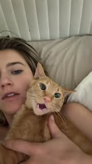Instagram Reel by @jaden.hisserina, published May 14, 2026. Hisserina has a favorite #orangecat #funny #viral #cat #drama