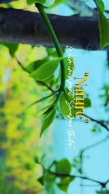 Instagram Reel by @mr_biswa_____, published May 5, 2026. Green Nature & Old Song Vibes ?✨ Hilltop nature, green environment au peaceful cinematic vibes ?? Simp…