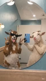 Instagram Reel by @tinytoontales1, published May 9, 2026. POV: You and your bestie open the front camera and suddenly become ✨icons✨ ?? No thoughts… just vibes…