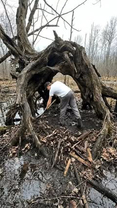 Instagram Reel by @creatorsryan, published May 29, 2026. Building a Hidden Underground Tree Root Shelter with a Bedroom and Survival Supplies#built #constructi…