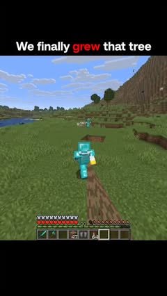 Instagram Reel by @birajgamer95, published May 22, 2026. We finally grew that tree...?#reels #viralreels #minecraft #minecraftmemes #minecraftlogic . . . @bira…