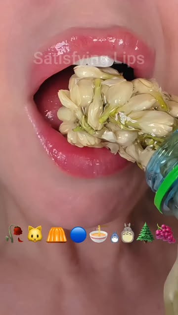 Instagram Reel by @satisfying.x.lips, published Jun 2, 2026. Which Satisfying ASMR Eating Emoji Food Challenge Shall We Eat Next? #satisfyinglips #emojichallen…
