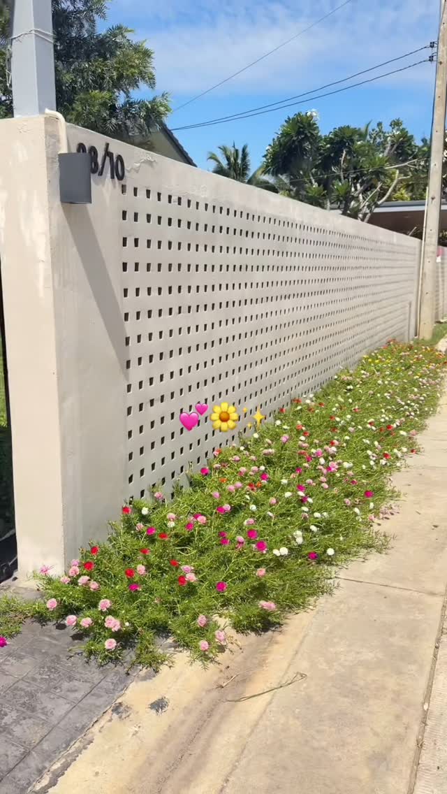 Instagram Reel by @vlynnnn__, published Jun 4, 2026. Grandma‘s little flower garden ?.