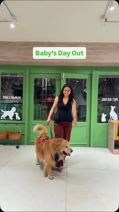 Instagram Reel by @golden_pabloescobark, published Apr 30, 2026. For pet parents, @floofnco is more than just a store—it’s a complete experience. From grooming…