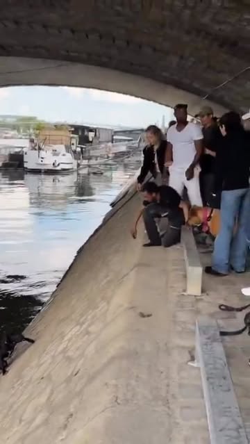 Instagram Reel by @elvenezolanocr, published May 10, 2026. ?❤️ Un perro cayó al río Sena… y en segundos varias personas dejaron todo para salvarlo. El video, g…