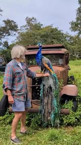 Instagram Reel by @arte.y.artistas, published May 16, 2026. Tom Deininger es un artista radicado en Rhode Island, celebrado por su enfoque transformador del ar…