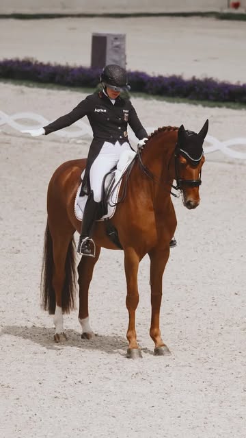 Instagram Reel by @aachen2026_official, published May 1, 2026. Ever wondered what’s going through the horses' minds in the arena? We’re pretty sure it’s someth…