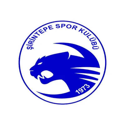 Şirintepe Halı Saha