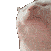 :catjamright: