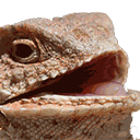 :hehehe: