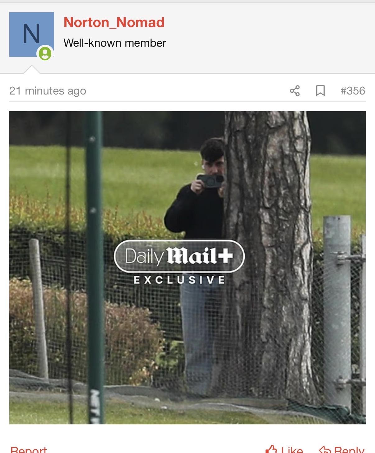 Posted media