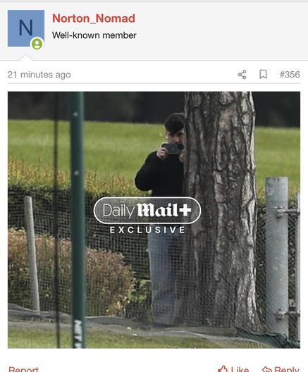 Posted media