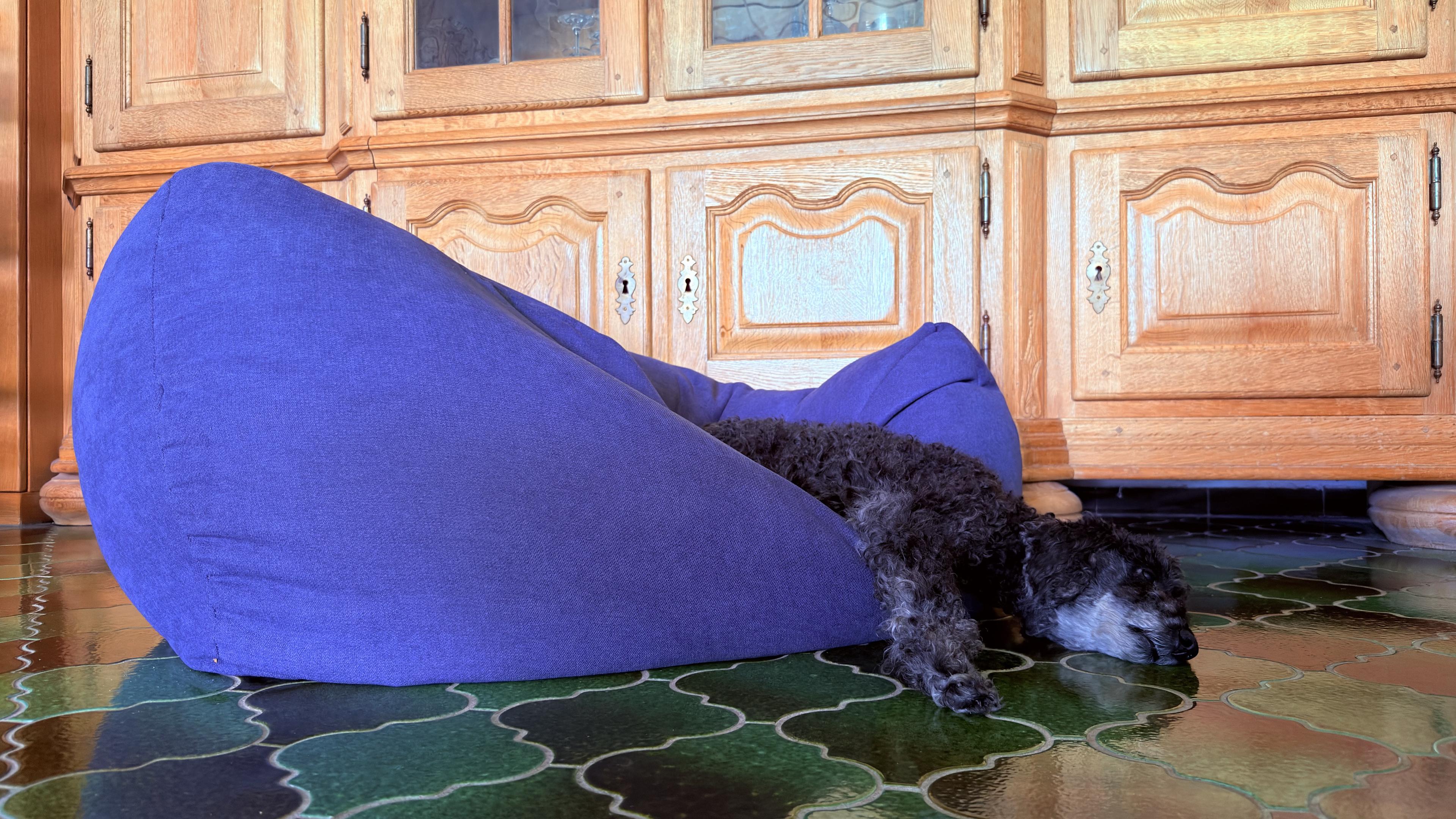 Kishu, a black Poodle, is asleep, half on a large blue beanbag and half on a green patterned tile floor, with wooden cabinets in the background.