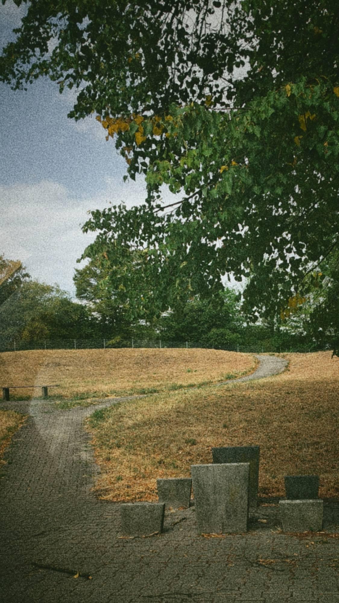 A defunct resting place: Concrete structures in front of a dry meadow.