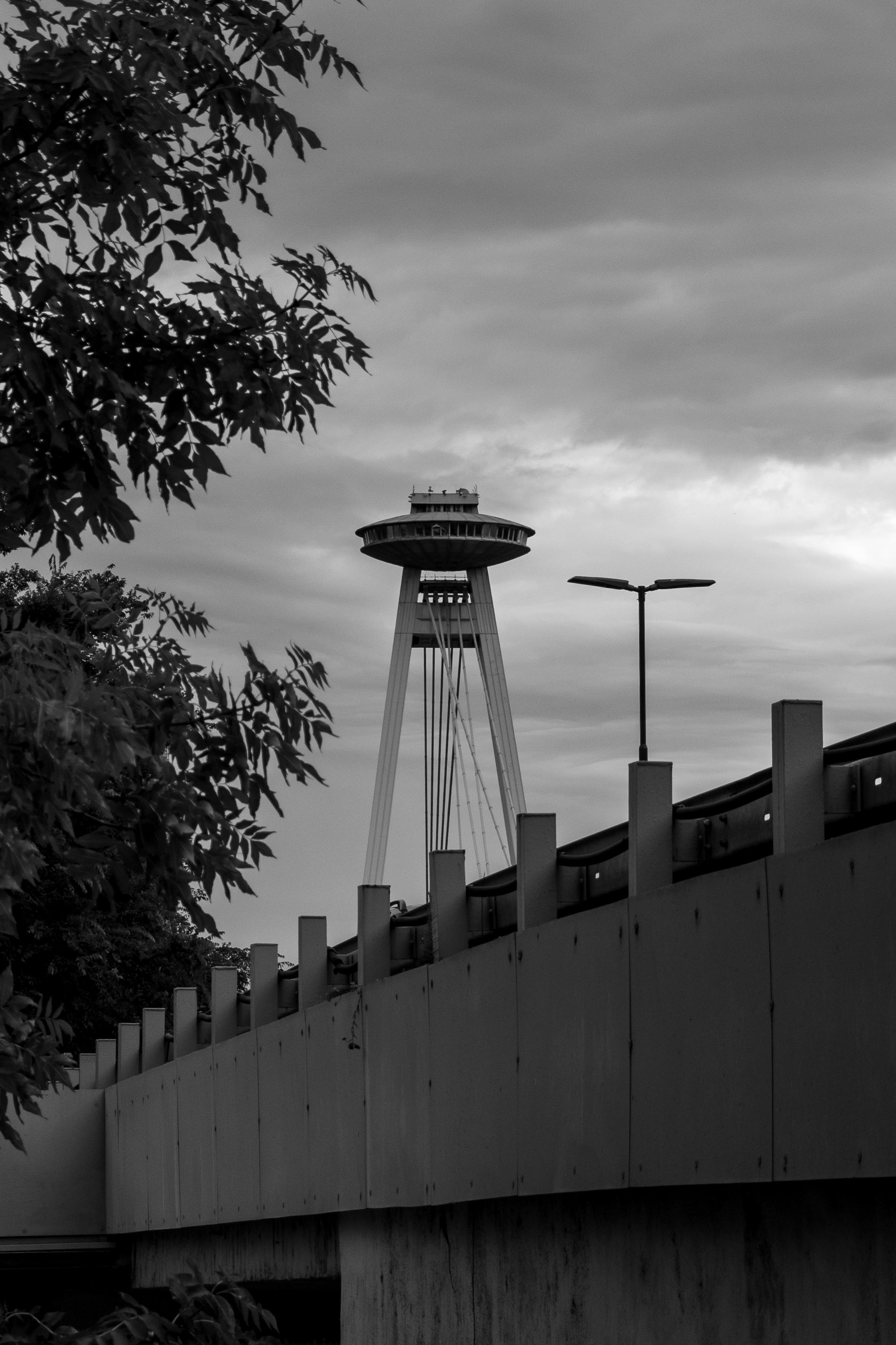 Black-and-white photo of Bratislava's UFO Tower rising above the SNP Bridge, its saucer-shaped observation deck silhouetted against a cloudy sky, framed by tree branches and a streetlamp.