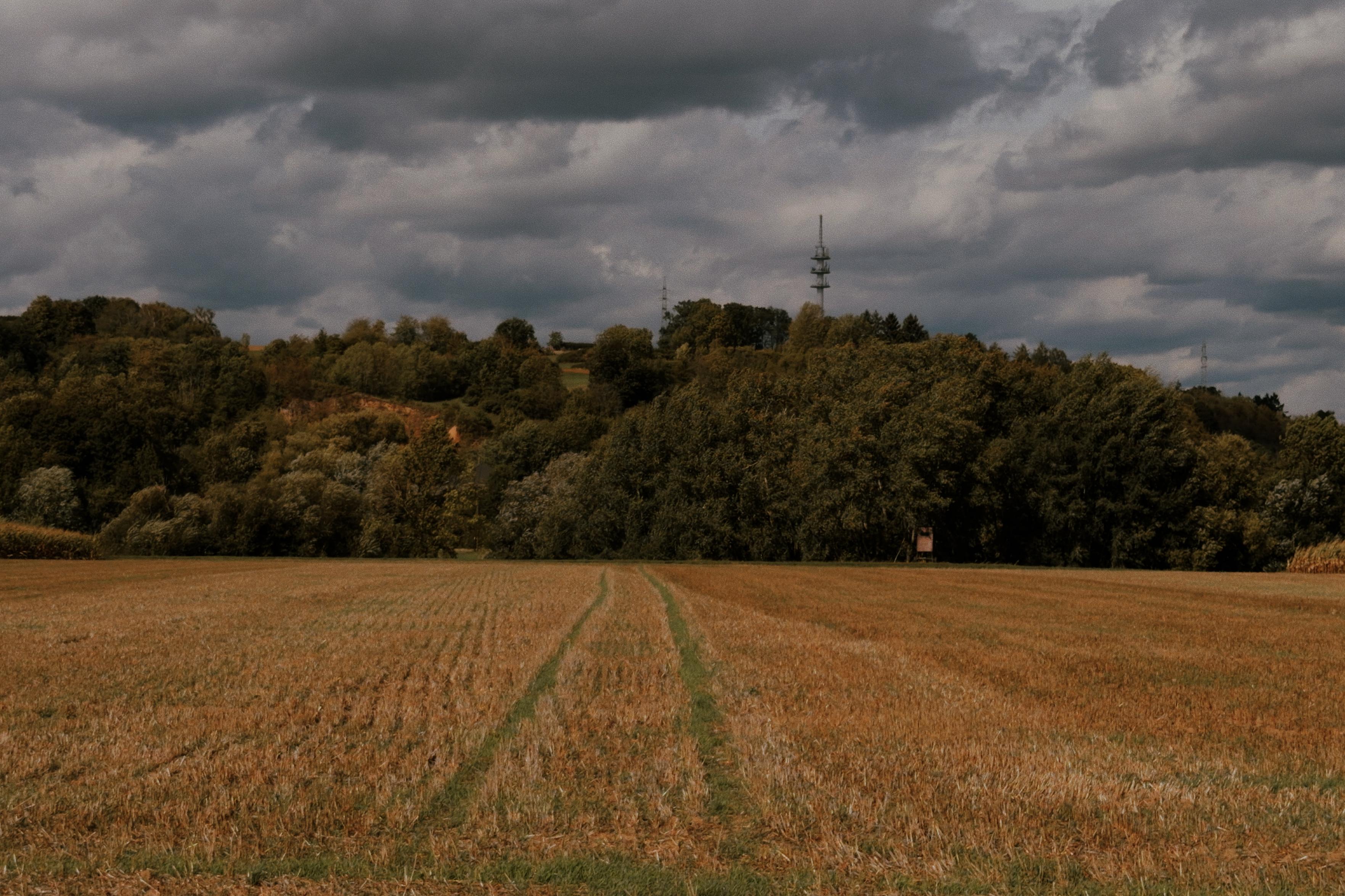Harvested field leading toward a wooded hillside with a radio tower beneath dark, dramatic clouds.