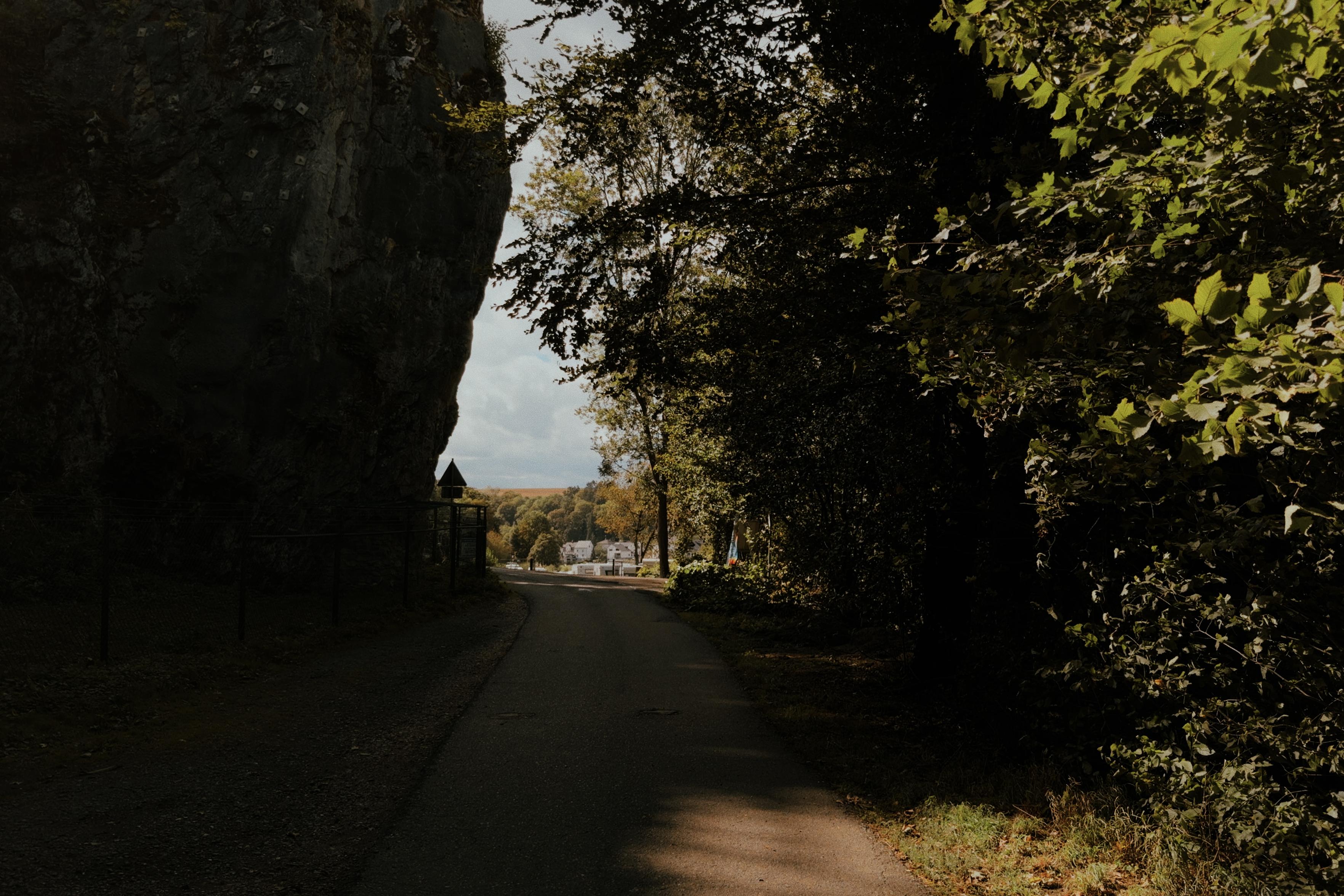 Shaded road running between trees and a rocky cliff, with sunlight breaking through in the distance.