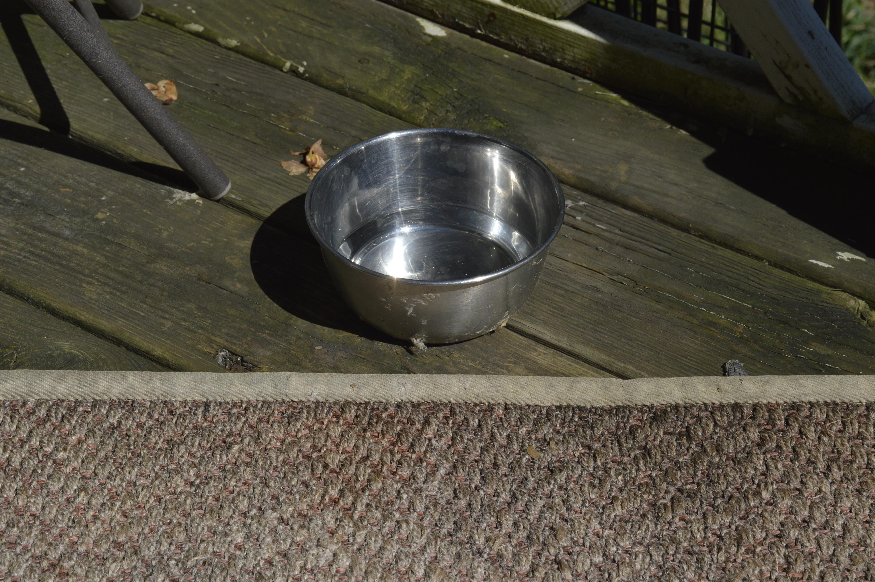 a silver dog bowl filled with water sits on a porch. the porch surface is wooden and partially covered by a rug