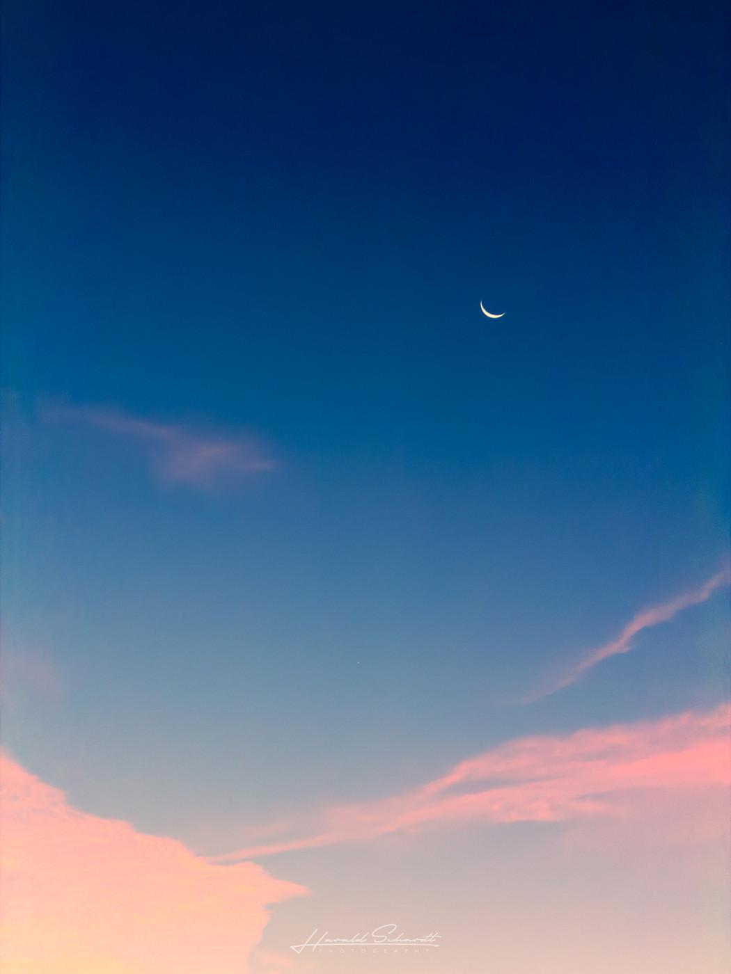 A crescent moon in the morning sky above soft pink clouds.