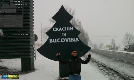 marinvasile