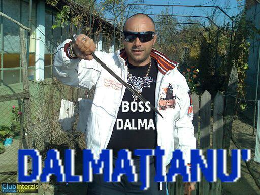 dalmadalma