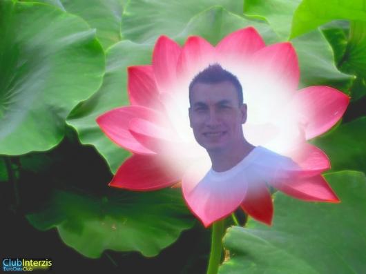 alynush30