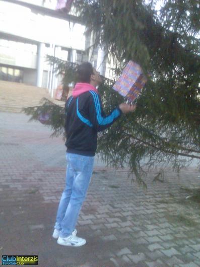 stefanno