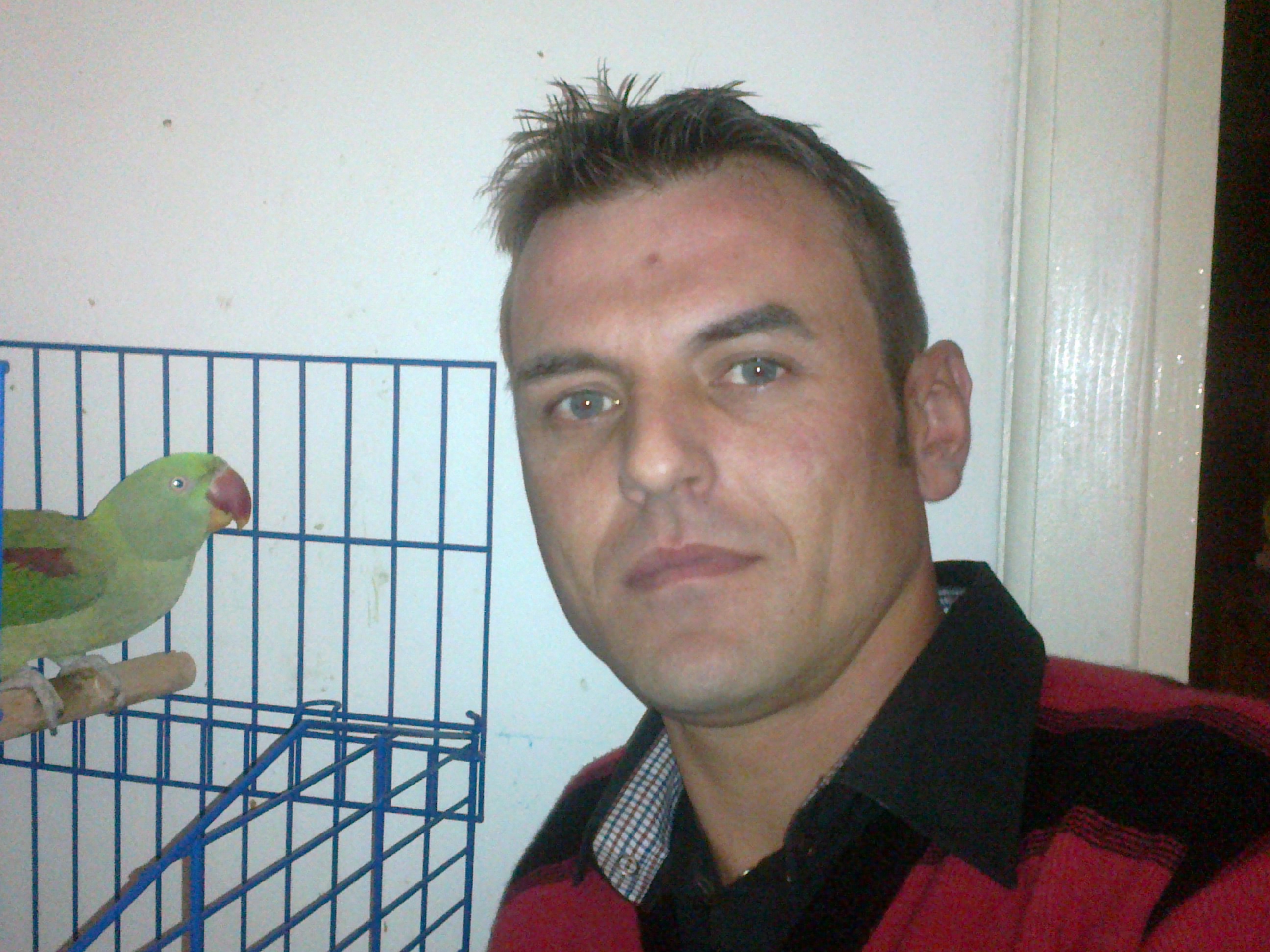florinmax