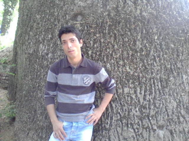 tanase_iulyan