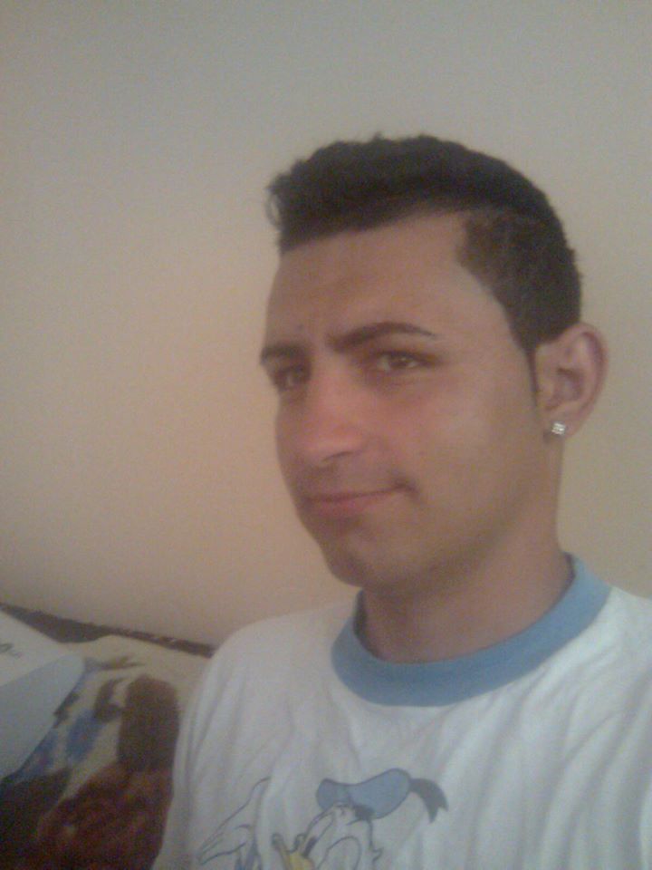 stefan_simion