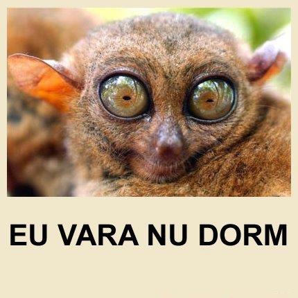 geoo