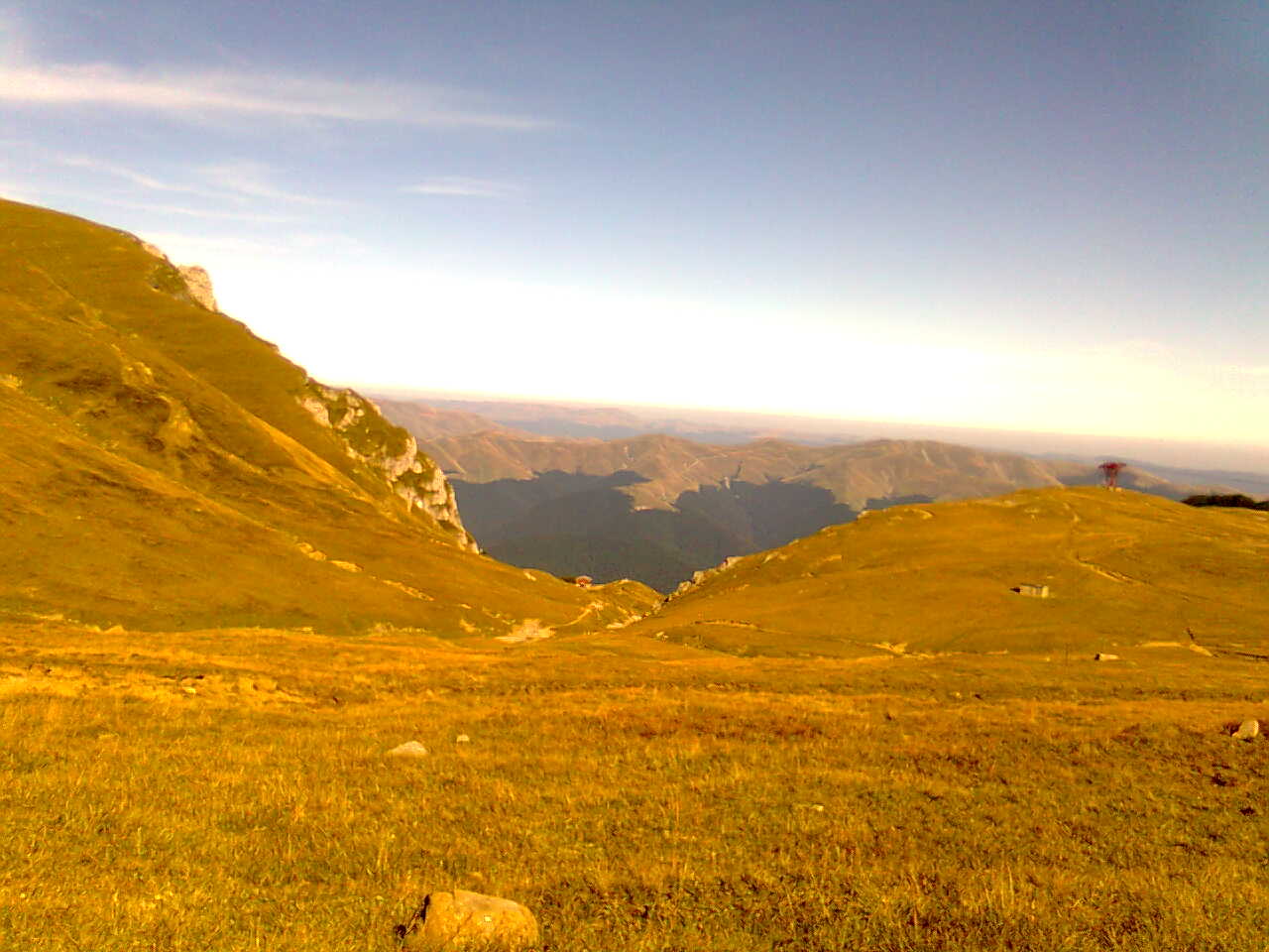 nelutu77