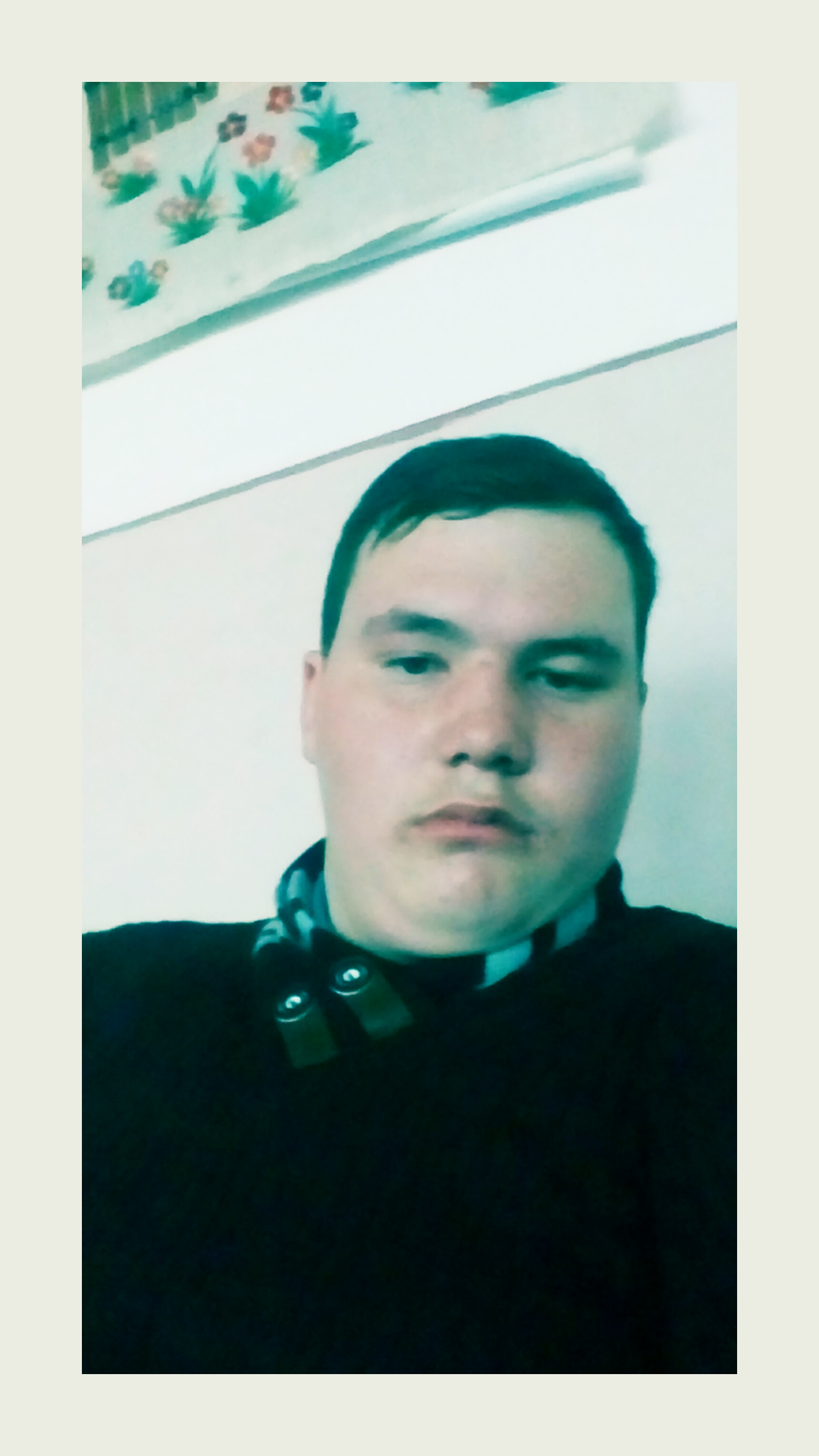 stelian19