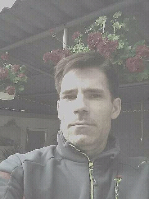 nikola