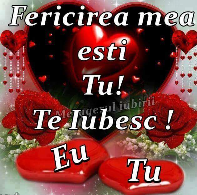 Ovidiu38