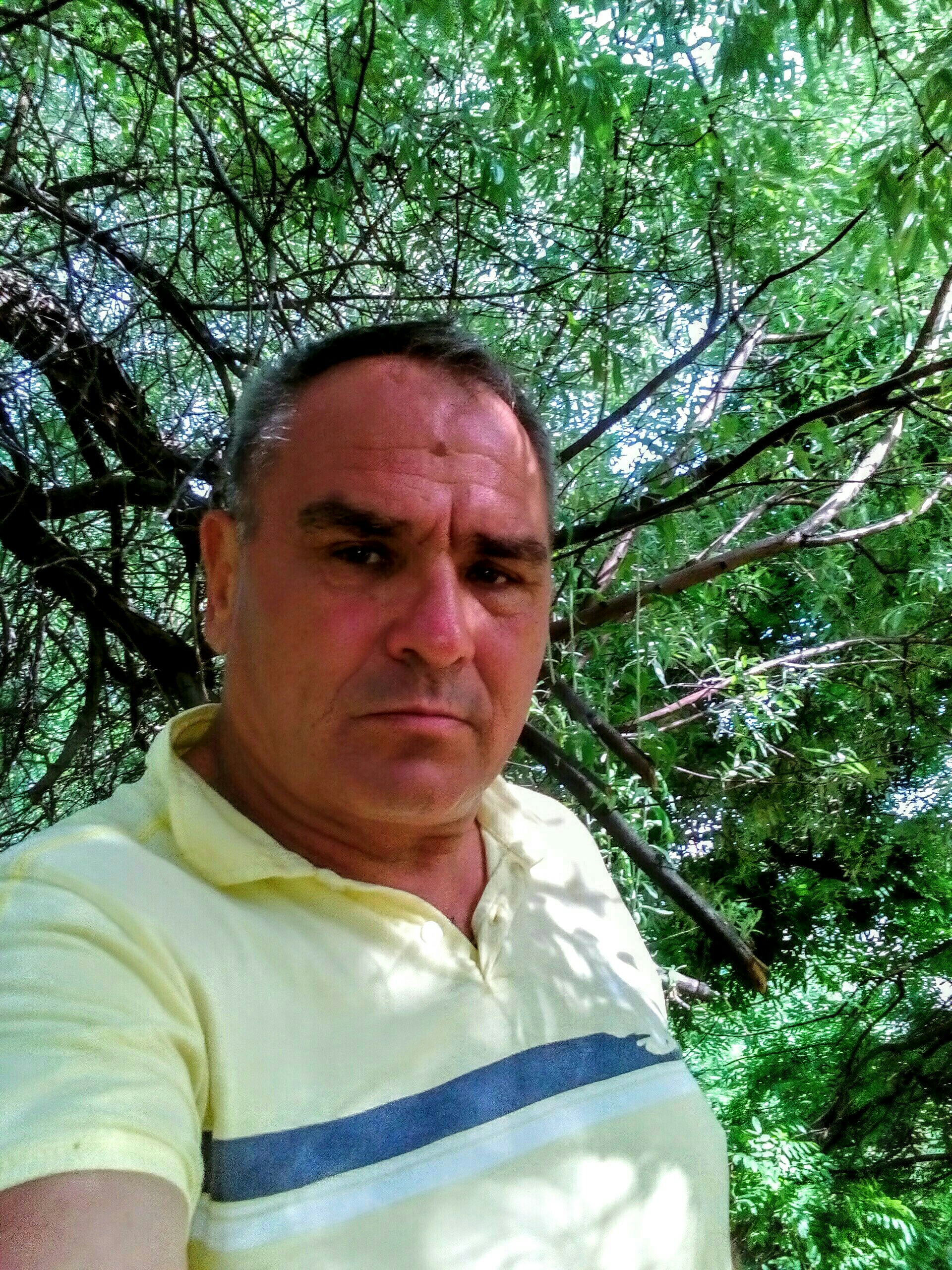 Birlik