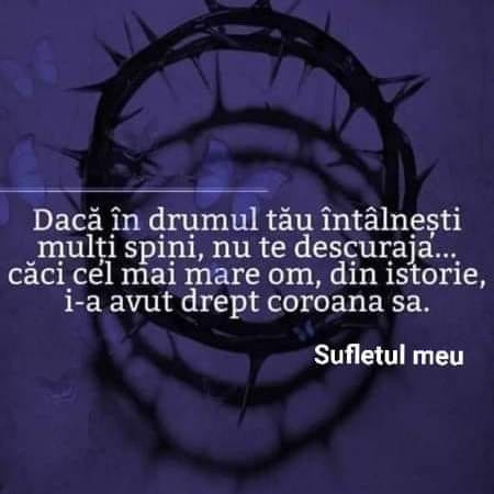 fb_4686023211485298
