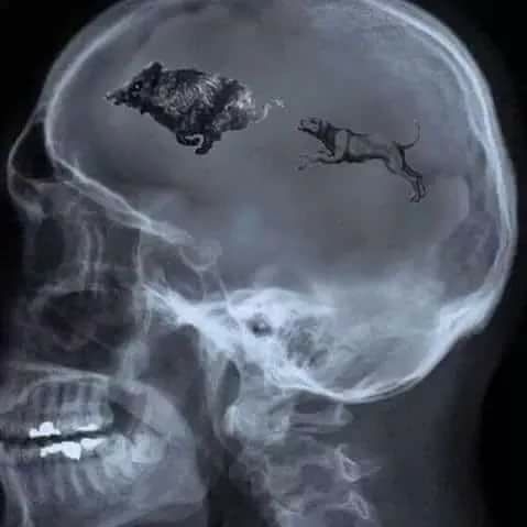 fb_3110435395890938