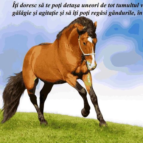 fb_7980799438657130